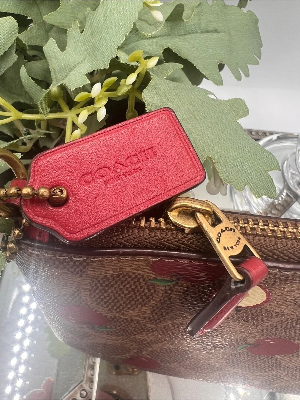 Coach Signature Apple Print Brown Pouch